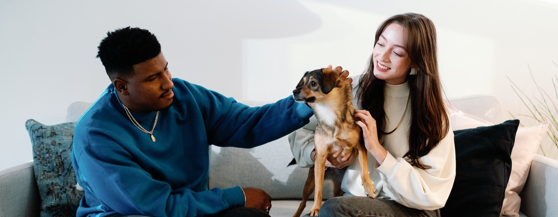 a man and a woman sitting on a couch with a dog